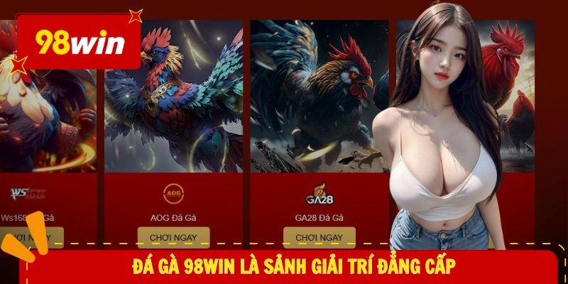 Đá gà 98WIN là sảnh giải trí đẳng cấp