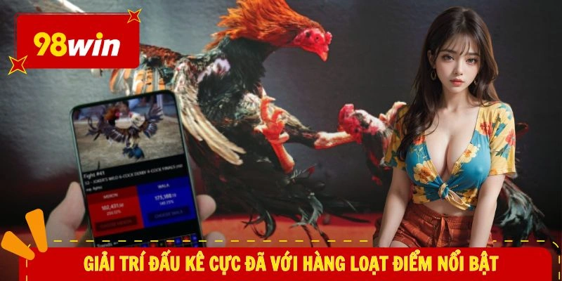 Giải trí đấu kê cực đã với hàng loạt điểm nổi bật